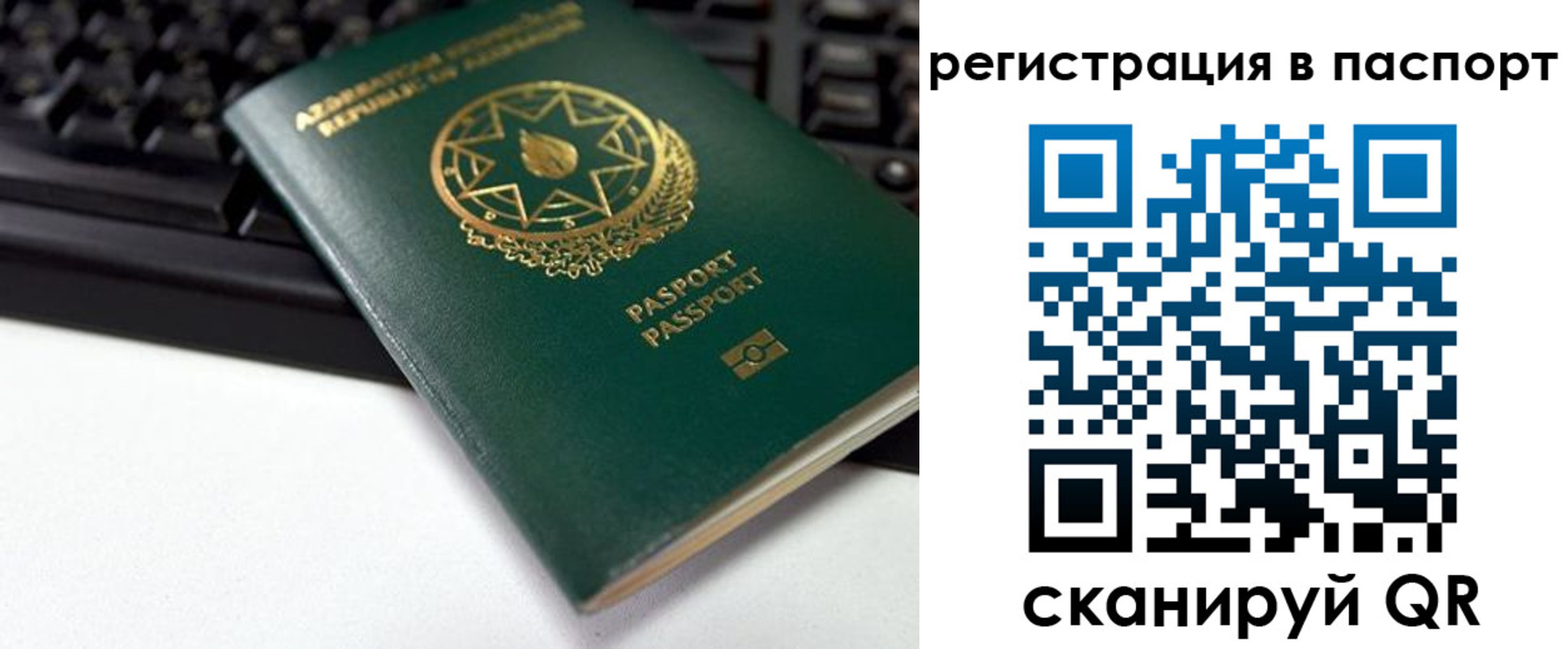 временная регистрация для всех в Мурманской области